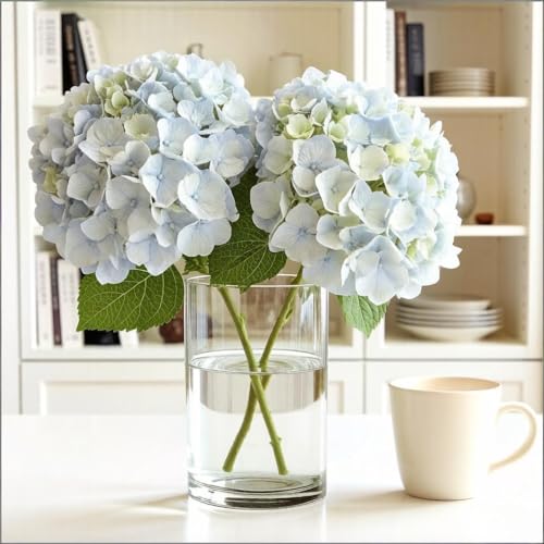 CYS EXCEL Cylinder Clear Glass Vase (H:8" D:6") | Multiple Size Choices Glass Flower Vase Centerpieces | Hurricane Floating Candle Holder Vase - size: H-8" D-6"