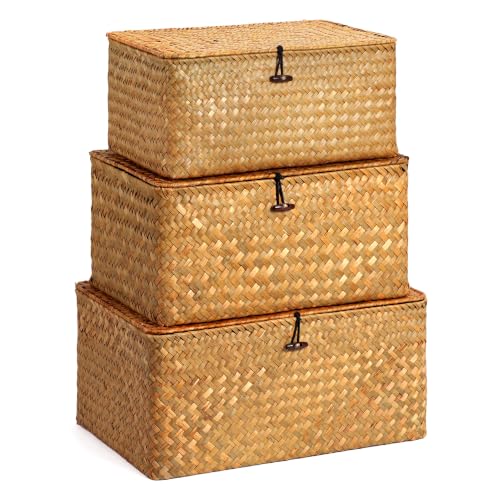 Nonam Large Wicker Basket with Lid,Seagrass Shelf Basket Set of 3,Nautral - color: Large Natural * Set of 3