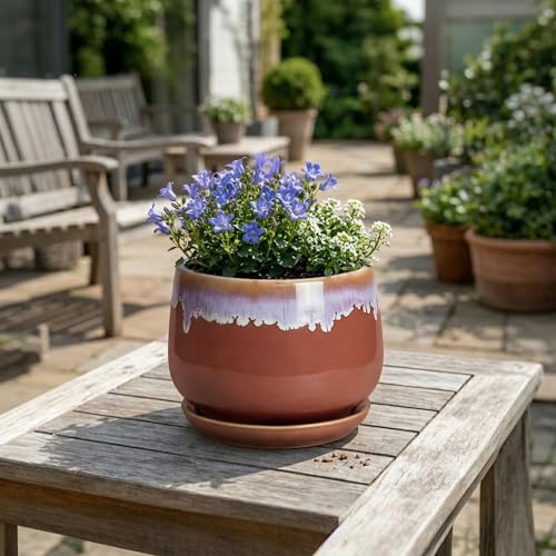 Ceramic Pots for Plants 7 Inch, Ceramic Planters, Red-Purple - size: 7 Inch, style: Red-purple