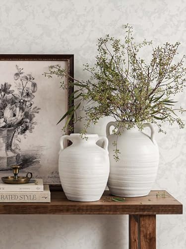 White Ceramic Vase with Handles, 9.5Inch, Farmhouse Rustic, Sandstone White - color: Winnie - Sandtone White, size: M(8.8"-9.8")