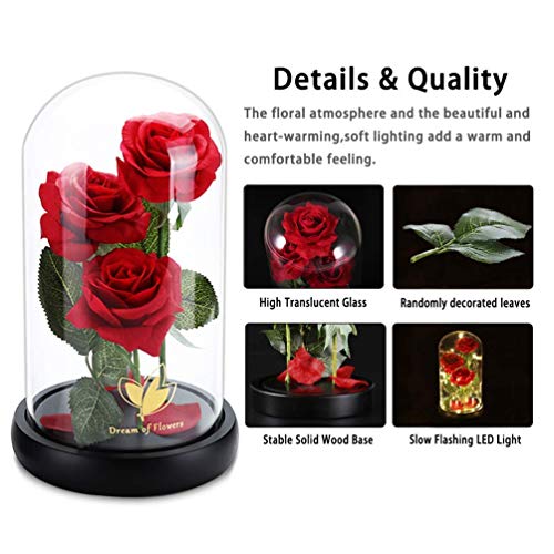 Beauty and The Beast Rose for Mom, Birthday Gifts for Women, Light Up Roses, Glass Dome Rose with LED Lights, Red Roses, Women's Gift for Mom Wife Grandmother - color: Red