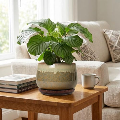Ceramic Planter, 9 Inch Ceramic Plant Pots Indoor, Brown-Beige - size: 9 Inch, style: Brown-beige