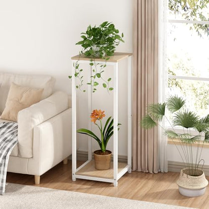 2 Tier Plant Stand Indoor Corner Tall Square Shape Plant Shelf