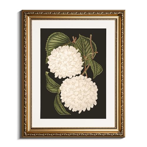VIYYIEA Gold Framed Wall Art Canvas Print Home Decor White Hydrangea Oil Painting Canvas Prints Room Aesthetic Flower Prints Decoration Bedroom Bathroom Wall Decor Kitchen Office 13x16in - color: Hydrangea, size: 16"L x 13"W