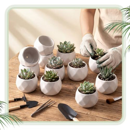 24 Pack 2.5 Inch Small Succulent Pots, White, Fashion - style: Fashion