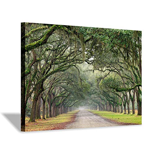 Hardy Gallery Tree Tunnel Canvas Wall Art Oak Landscape 36x24 Inch - color: Path in Oak Trees, size: 36"L x 24"W