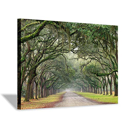 Hardy Gallery Tree Tunnel Canvas Wall Art Oak Landscape 36x24 Inch - color: Path in Oak Trees, size: 36"L x 24"W
