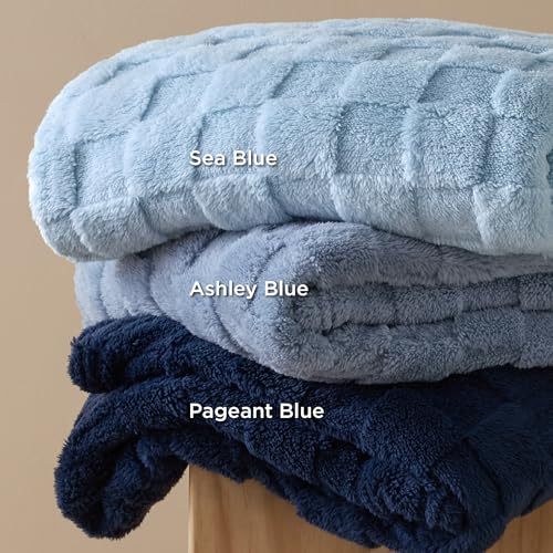 Bedsure Checkered Soft Cozy Twin Blanket for Bed, Ashley Blue,60"×80" - color: 02 Ashley Blue, size: Twin (60" X 80")