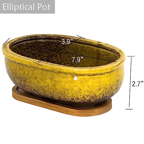 Succulent Pots, 1 Rectangle Planter + 1 Ceramic Bonsai Pots with Drain Tray - color: Yellow