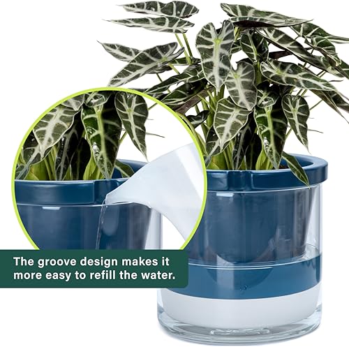 D'vine Dev Self-Watering Blue Terracotta Planter Pot, 10 in, 37-X-D-4 - color: Blue, size: 10 Inch