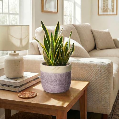 8 Inch Plant Pot, Ceramic Planter, Round Pot for Plants, Purple - color: Purple, size: 8 Inch