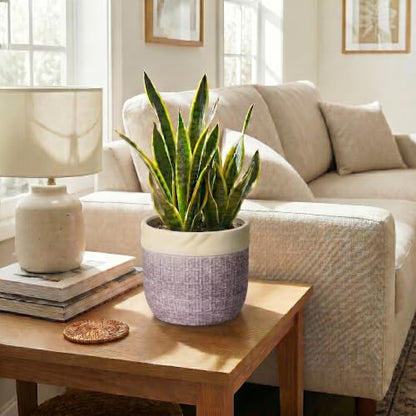 8 Inch Plant Pot, Ceramic Planter, Round Pot for Plants, Purple - color: Purple, size: 8 Inch