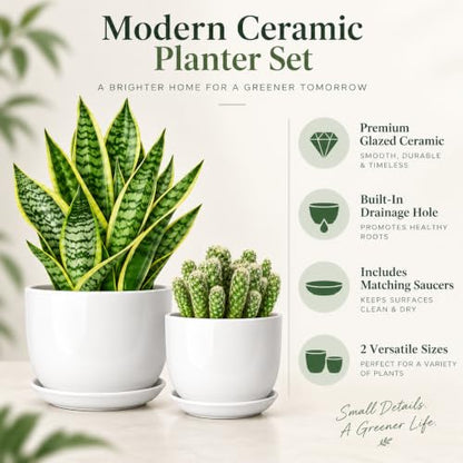 6.7 + 5.5 Inch Ceramic Plant Pot with Drainage and Saucer - size: 6.7 + 5.5 Inch 2 Pcs