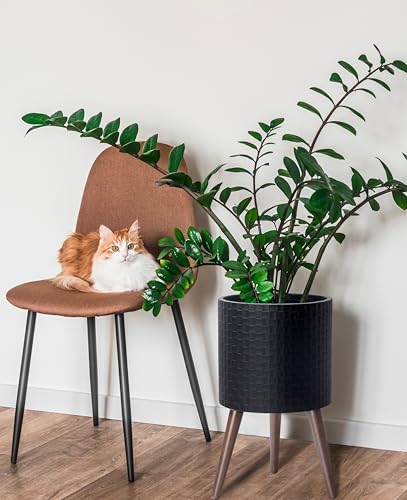 D'vine Dev Planter Pot with Wood Stand, 12 in, Matte Black, 88-Z-C-2 - color: Matte Black, size: Large