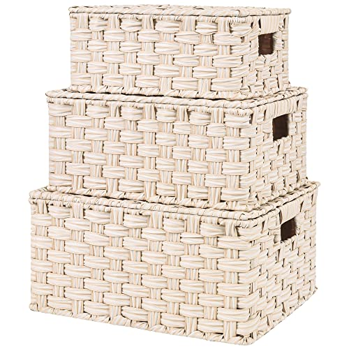 GRANNY SAYS Wicker Baskets with Lids, Woven Storage Basket with Lid - color: Butter Milk, size: 3 Pack