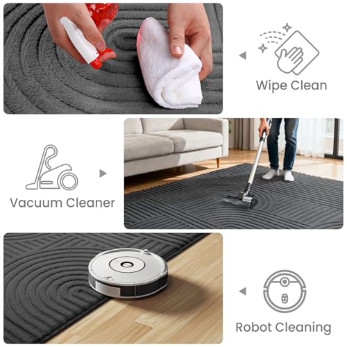 Sour Lemon 5x7 Area Rugs for Living Room Bedroom, Grey Rug Large Carpet - color: Dark Grey, size: 5' x 7' (Rectangular)