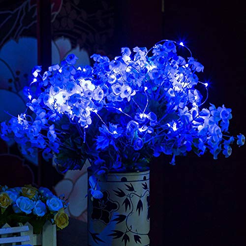 RUICHEN Fairy Lights Plug in, Silver Wire 33 Ft 100 LED String Lights, Blue - color: Blue