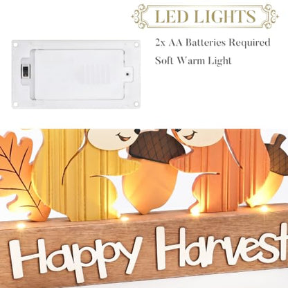 Valery Madelyn Fall Decorations for Home with LED Lights, 12 Inch