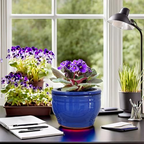 African Violet Pots Self Watering Blue 6 inch - color: Blue