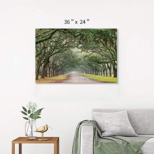 Hardy Gallery Tree Tunnel Canvas Wall Art Oak Landscape 36x24 Inch - color: Path in Oak Trees, size: 36"L x 24"W