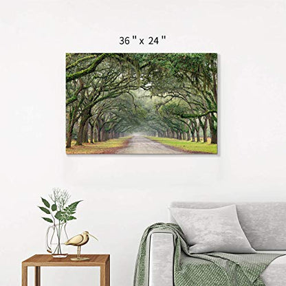 Hardy Gallery Tree Tunnel Canvas Wall Art Oak Landscape 36x24 Inch - color: Path in Oak Trees, size: 36"L x 24"W