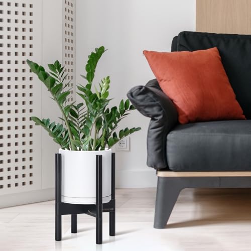 D'vine Dev Ceramic Pot with Ebony Wood Stand, White, 8 in, 55-B-M-1 - color: White Pot + Ebony Stand, size: 8 Inch