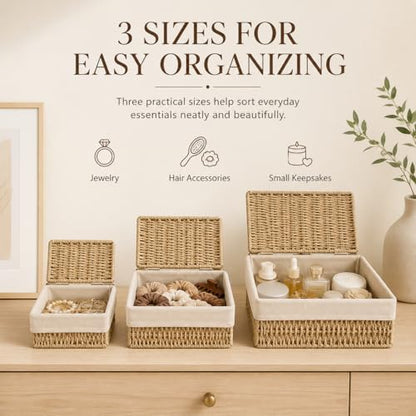 Storage Baskets with Lids Set of 3, Woven Bins with Liner - size: Small with Lids