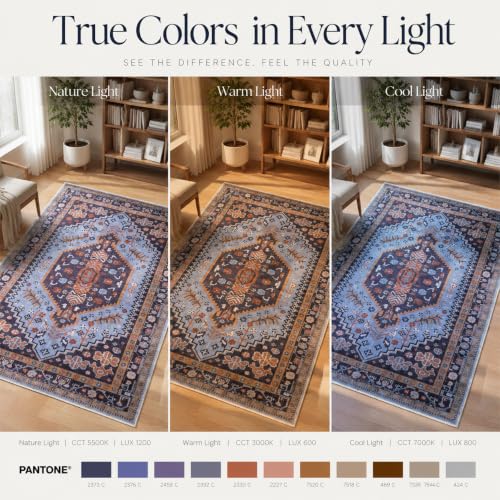 Ciicool 2x3ft Small Area Rug,Washable Boho Thin Mat for Entryway Kitchen - color: Purple/Multi, size: 2' X 3' (Rectangular)