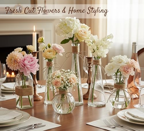 Glass Bud Vases Set of 6 for Flowers, Clear Small Vases with Jute Rope