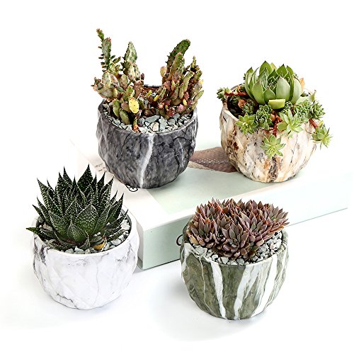 Sun-E Ceramic Succulent Pots, 3.35 Inch Marbled Flower Pots, Set of 4