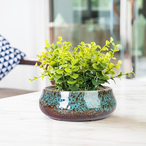 ARTKETTY Succulent Pots, 8 Inch Plant Pots Large Bonsai Pots with Drainage - color: Blue