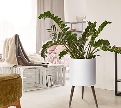 D'vine Dev 14 Inch Planter Pot with Wood Stand, White, 88-O-D-1 - color: Matte White, size: X-Large