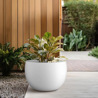 Kante Accent Round Bowl White Concrete Planter 15.7" Dia, Outdoor - color: Pure White, size: 15.7" d