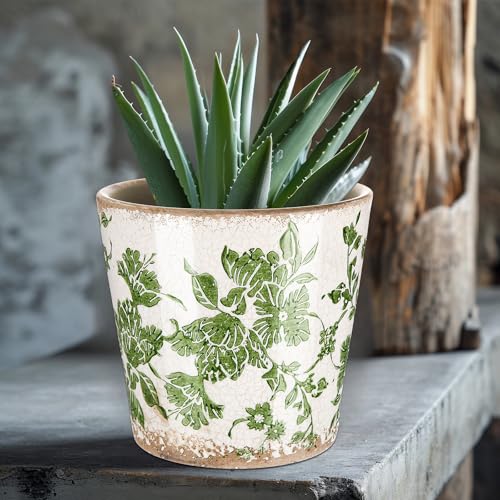 Beeveer Farmhouse Ceramic Planter 5.5 Inch Large Plants Pot Ice Crack Beige Green Flowers Plant Pots with Drainage Hole Indoor Plants Kitchen Rustic Antique Decor Gift - color: Green & Beige, size: 5.5 Inch