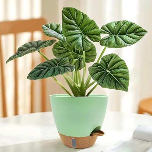 12/10/9/8 inch Self Watering Pots with Visual Water Window, Extra Large Self Watering Plant Pot with Drainage Holes and Saucers, Green Flower Pots for Indoor Plants - color: Green