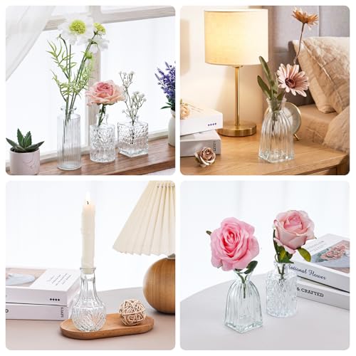 Fixwal 36pcs Glass Bud Vase Bulk Set, Clear Small Glass Vases for Flowers - color: Clear, size: 36pcs