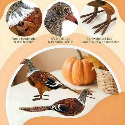 naturevibe Feathered Pheasant Decor Set of 2 for Autumn Fall Thanksgiving - style: Pheasant Decor-Set of 2