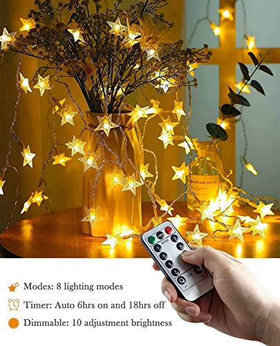 ANJAYLIA 40 LED 20FT Battery Operated Star Lights & Remote, Warm White - color: Warm White 20 FT with Remote