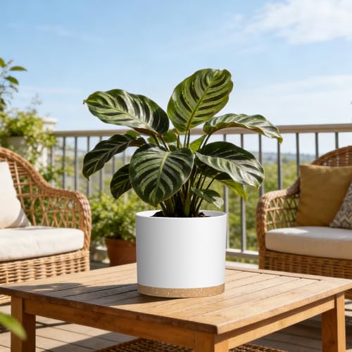 Plant Pots, 10/9/8 Inch 3 Pack Cylindrical Flower Pots with Drainage Holes and Saucers, Plastic Planters for Outdoor Indoor Plants,White Brown - color: White With Brown