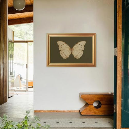 EJPFOGV Butterfly Framed Canvas Wall Art Dark Green Background 16x24 inches - color: Butterfly, size: 24"L x 16"W