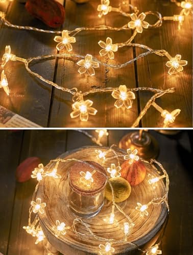 Flower String Lights, WFGGEH 20ft 40 LED USB Powered Cherry Blossom Fairy String Lights for Party Birthday Wedding Christmas Home Decoration