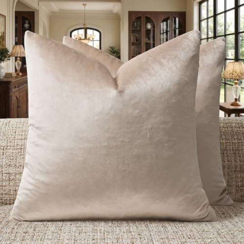 GIGIZAZA Velvet Pillow Covers 22x22 Decorative Pillows Pack of 2 Beige - color: Champagne, size: 22" x 22" (Pack of 2)