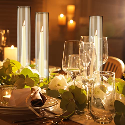 Treela 48 Pcs 2.5" W x 14" H Hurricane Candle Holder Sleeve
