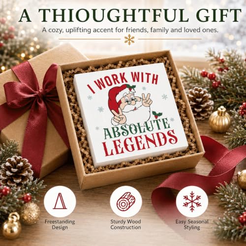 I Work With Absolute Legends Sign, Funny Christmas Wood Box Coworker Gift - color: Style 5