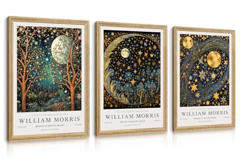 Hianan Wood Framed William Morris Moon Star Wall Art Set of 3, 12x16 in - color: Dark Blue,Gold(Wood), size: 16"L x 12"W