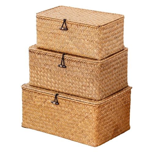 Nonam Wicker Storage Basket with Lid,Seagrass Shelf Basket Set of 3,Nautral - color: Standard Natural* Set of 3