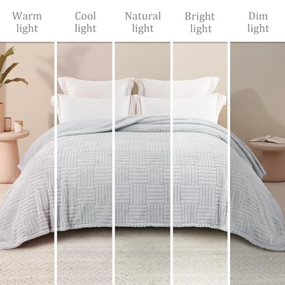 Whale Flotilla Lightweight Fleece Twin Size Blanket for Bed, Light Grey - color: Light Grey, size: Twin(60x80 Inch)