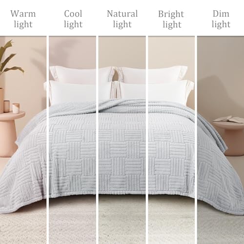 Whale Flotilla Lightweight Fleece Queen Size Blanket for Bed, Light Grey - color: Light Grey, size: Queen(90x90 Inch)
