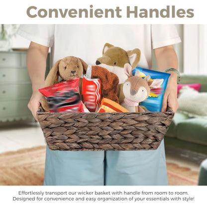 Set of 3 Snack Baskets, Water Hyacinth Basket,Wicker Snack Basket Organizer - color: Espresso Color