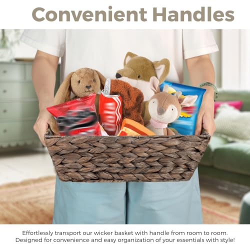 Set of 3 Snack Baskets, Water Hyacinth Basket,Wicker Snack Basket Organizer - color: Espresso Color